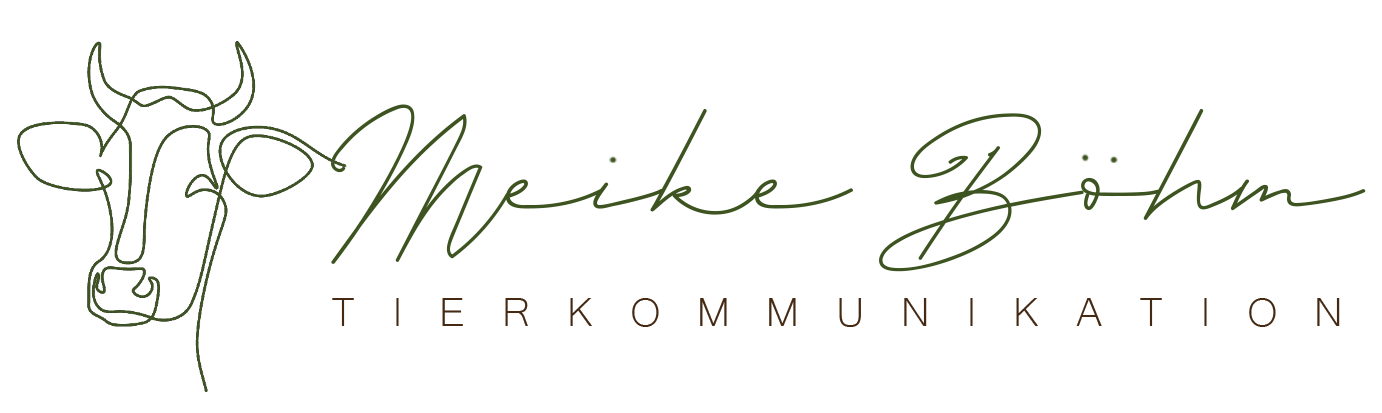Tierkommunikation Meike Böhm